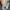 Nike Downshifter 13 (Running Shoes)  photo 7