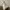 Loro Piana 19 White photo 3