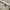Loro Piana 19 White photo 2