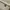 Loro Piana 19 White