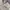 Converse Casual Sportswear Varsity jacket Pria gray photo 3