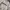 Adidas Casual Biker Sweatshirt Pria white gray photo 2