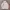Adidas Casual Biker Track jacket Pria white photo 1