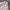 Adidas Casual Biker Track jacket Pria white photo 2