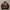 Adidas Casual Biker Track Jacket Pria Brown