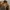 Adidas Casual Biker Track jacket Pria brown photo 2