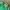 Adidas Casual Biker Track jacket Pria green photo 3