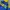 Adidas Casual Biker Track jacket Pria yellow blue photo 2