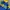 Adidas Casual Biker Track Jacket Pria Yellow Blue