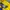 Adidas Casual Biker Track jacket Pria yellow blue photo 4