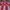 Jersey Fantasy Garuda  photo 2