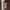 -Brand: New Look -Very good condition, photo 5