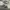CN ADIDAS X SMPSNS photo 4
