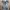 dress blue grey coquette lolita fairy gothic ribbon kawai  photo 2