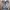 Dress Blue Grey Coquette Lolita Fairy Gothic Ribbon Kawai 