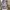 dress blue grey coquette lolita fairy gothic ribbon kawai  photo 3