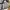 dress blue grey coquette lolita fairy gothic ribbon kawai  photo 8