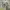 Reebok Rolaye Complete Sport White Shoes photo 2