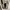 Zara white open shoulder long sleeve top photo 1