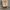 Avant Garde Casual Corset Wanita tan photo 4
