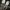 Converse Chuck 70 High photo 9