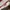 Burberry authentic valentine edition tote photo 5
