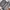 Vintage Shoulder bag Wanita gray photo 3