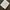 ll bean classic fit wringkle resistant trousers. photo 7