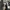 Nike Killshot 2 Tiempo Leather Black  photo 1