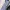 FENDISSIME Flower Motive Dress