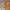 Baju Atasan Wanita Y2K Lengan Panjang Orange Beyond Fashion photo 1