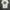 Hard Rock Cafe Vintage Y2K T-shirt Pria white photo 1