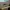 Outer Ralyne photo 2