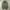 balloon cargo pants photo 4