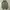 balloon cargo pants photo 5