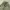 balloon cargo pants photo 6