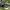 Nike Air Jordan Casual Sneakers Pria Black