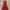 The Editor's Market Dress Size XS (Good Condition) Nego photo 2
