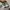 New Balance 247 photo 3