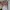 Atasan crop top  cantik dan lucu photo 1