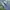 Jeans veding photo 2