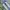 Jeans veding photo 3