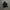 Adidas Casual Track jacket Pria black photo 1