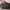Michael Kors Selma Mini Crossbody Bag -