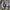 Converse Chuck Taylor Purple 