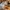 Nine West Luxury Minimalist Heels Wanita Multicolor
