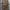 Hollister Vintage Hoody Pria brown photo 1