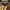 Stussy Vintage Streetwear Sweatshirt Pria brown photo 2