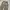 unused lab official unique Baggy cargo jeans photo 10