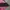 Juventus 2011/2012 Away Kit Classic Retro Vintage Jersey photo 6